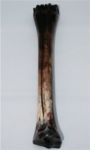 Eland Bone (whole)