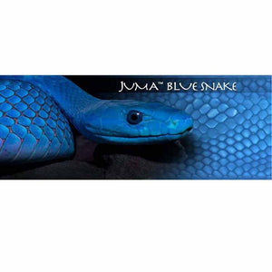 Blue Snake Juma - Jantz Supply