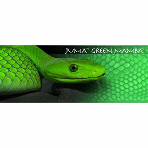 Green Mamba Snake Juma - Jantz Supply