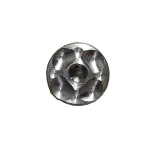 The Orchid Torx Screw in Stainless Steel