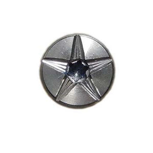 Texas Star Torx Screw in Stainless Steel 