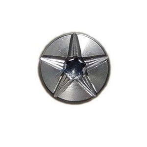 Texas Star Torx Screw in Stainless Steel
