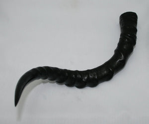 NB802T18 Impala Horn - Jantz Supply