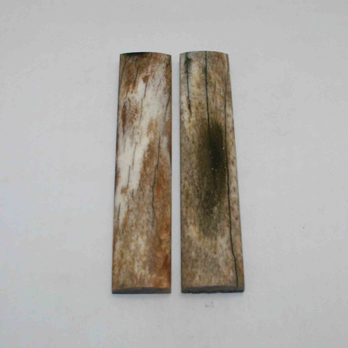 NB103JS15 Giraffe Bone Scales