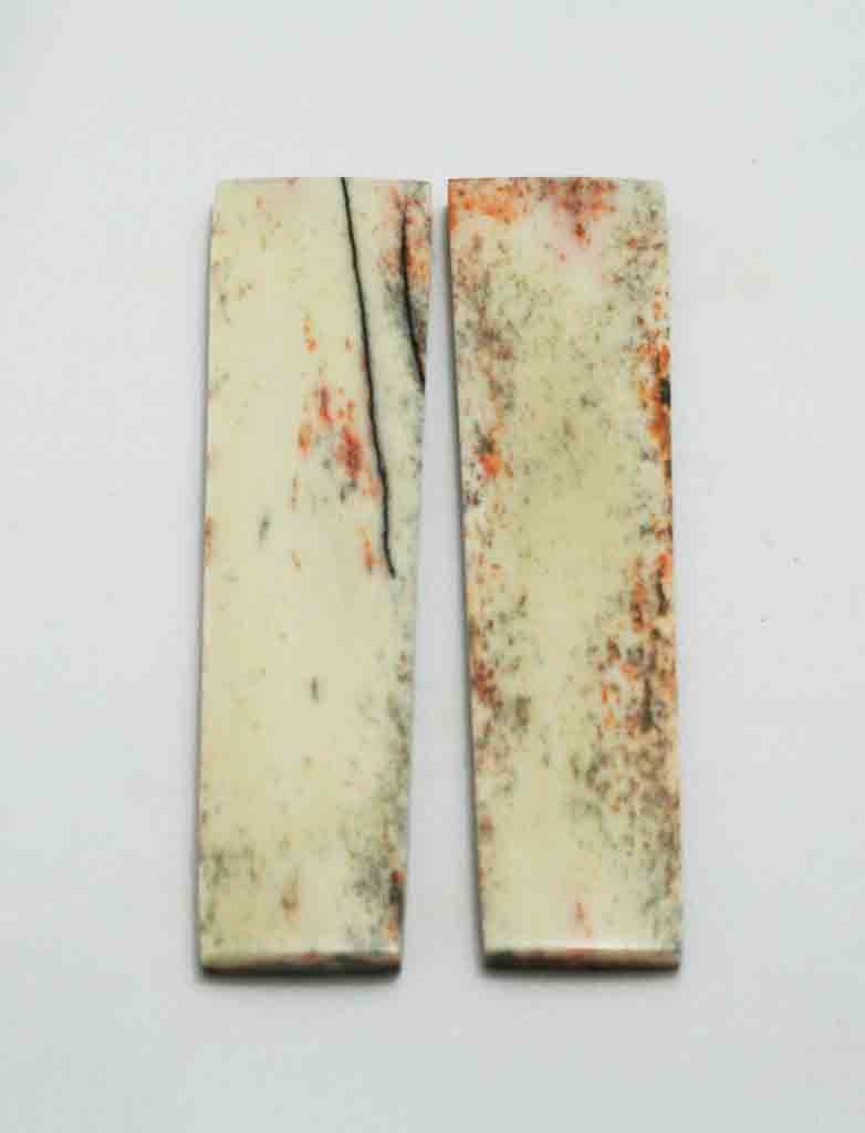 NB104F62  Giraffe Bone Scales