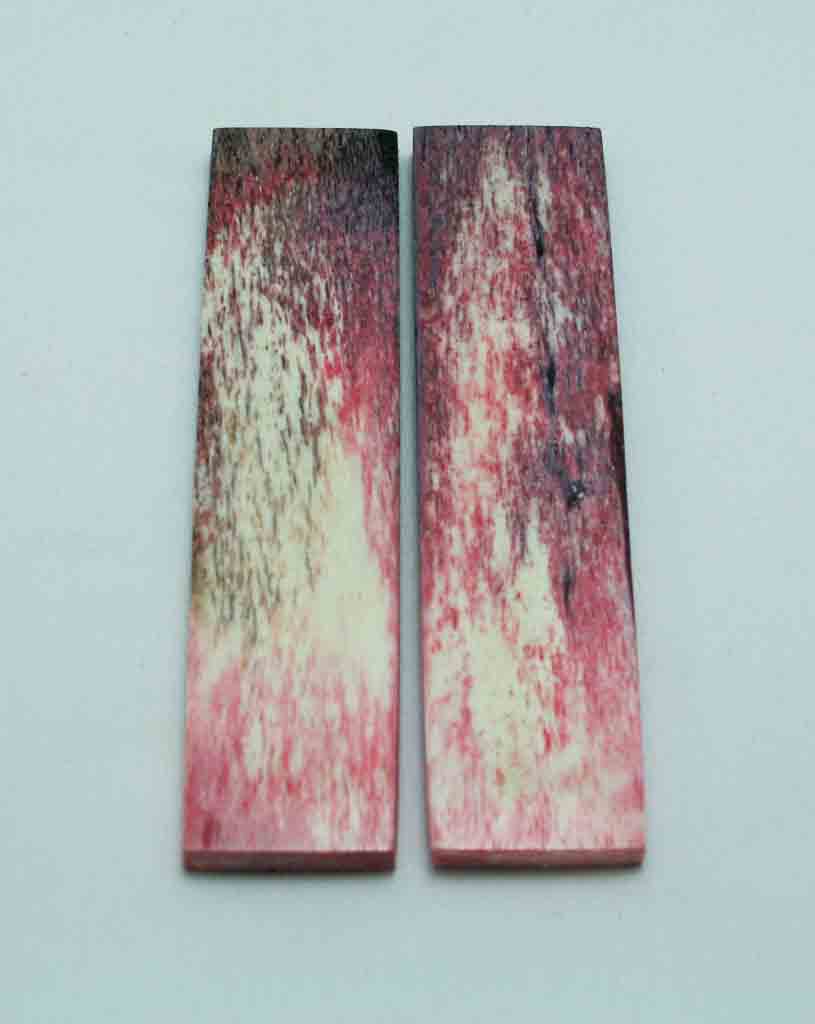 NB104F67  Giraffe Bone Scales