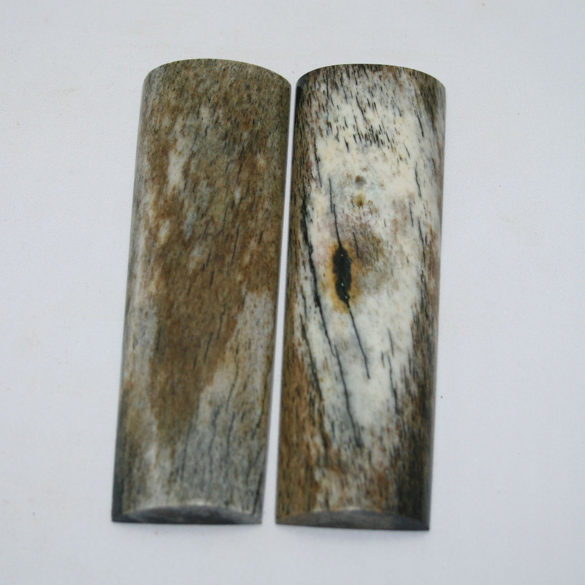 NB105MAN189 Giraffe Bone Scales