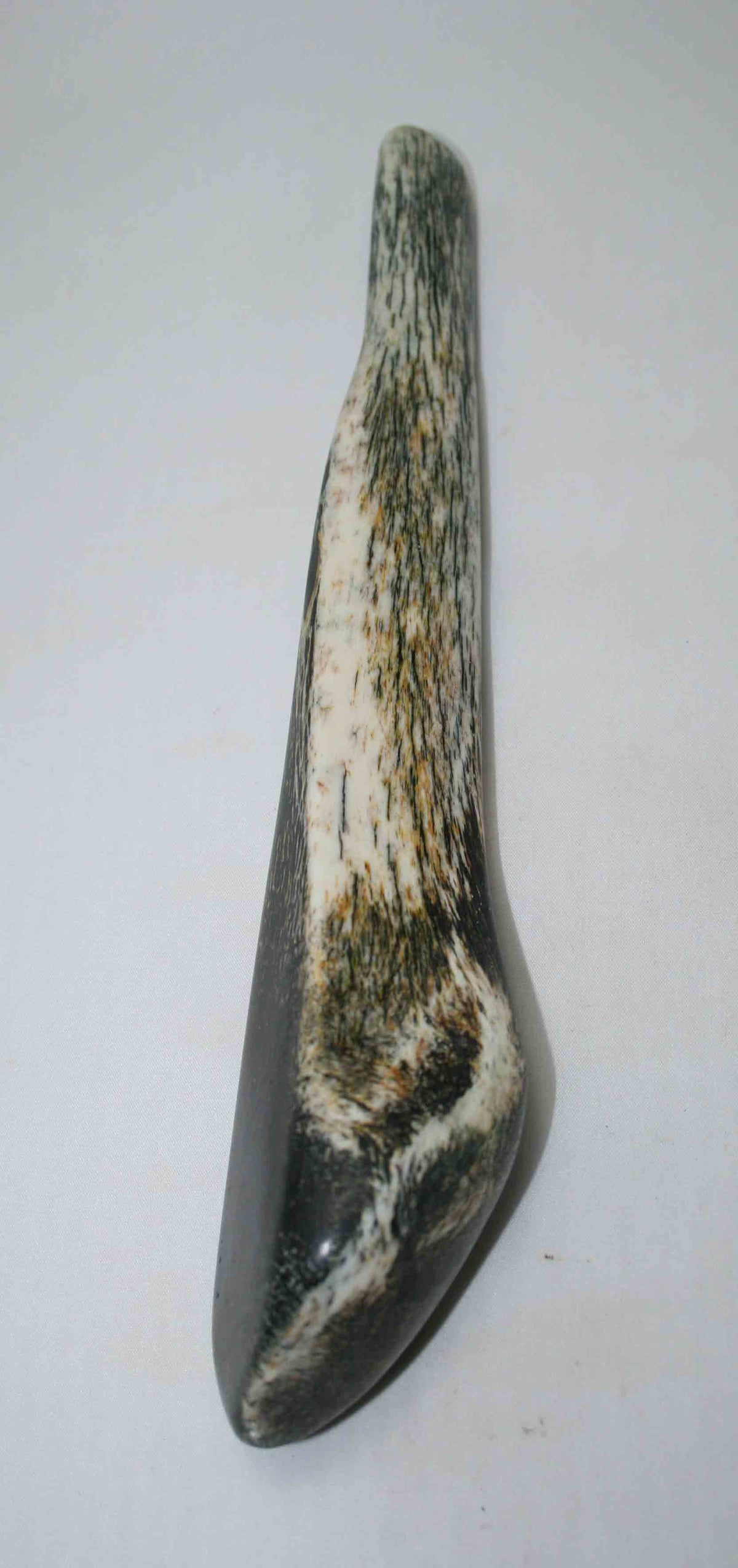 NB106JS24 Giraffe Bone Round