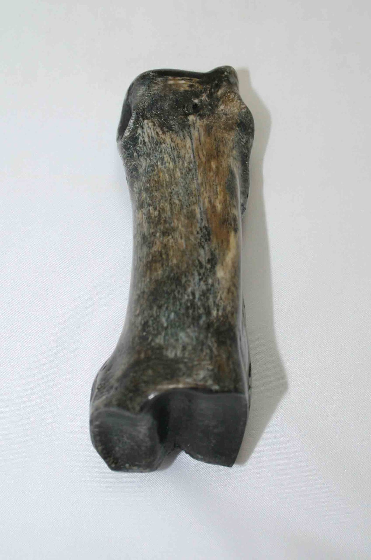 NB617JS3 Carpal Bone - Giraffe (large)