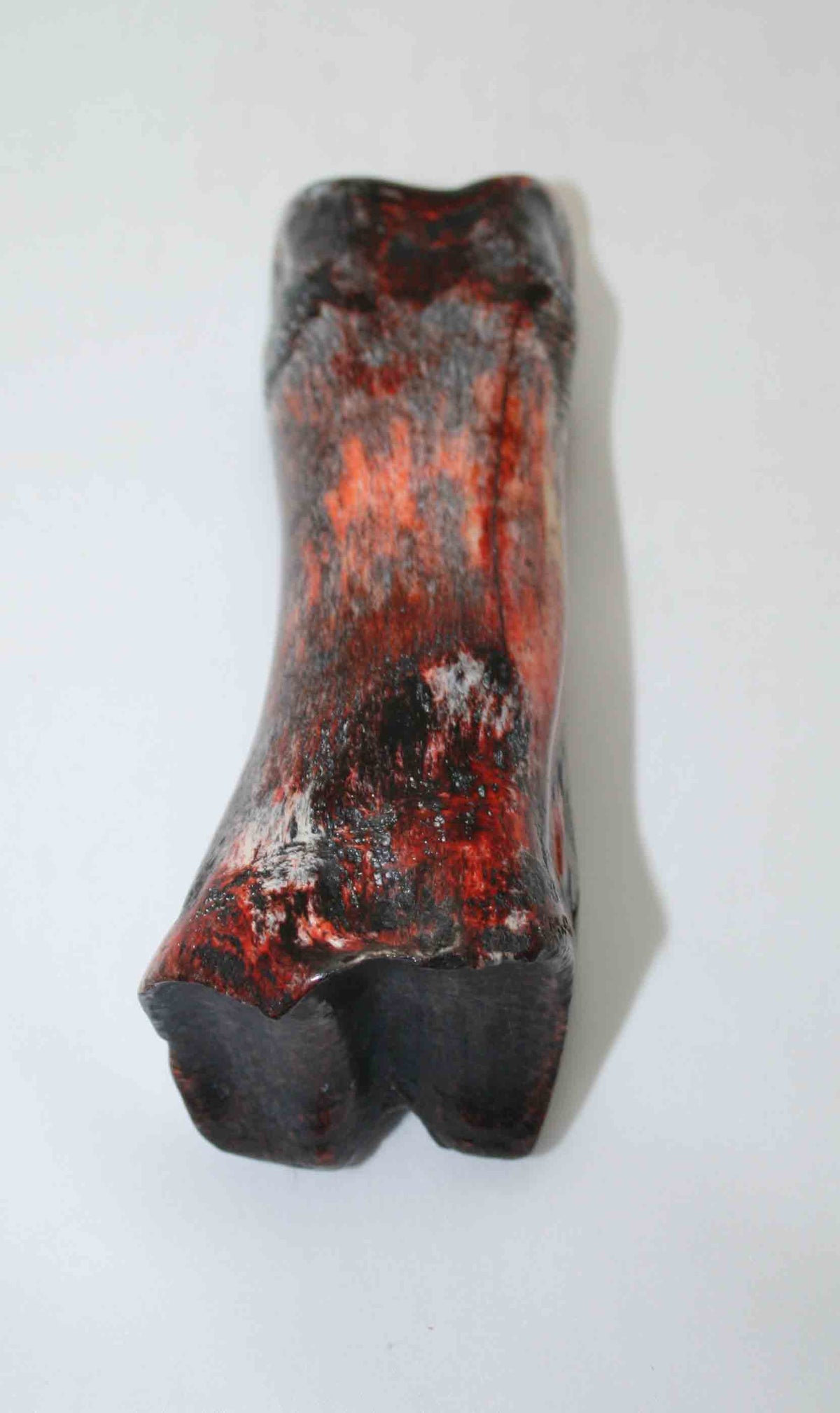 NB617JS4 Carpal Bone - Giraffe (large)