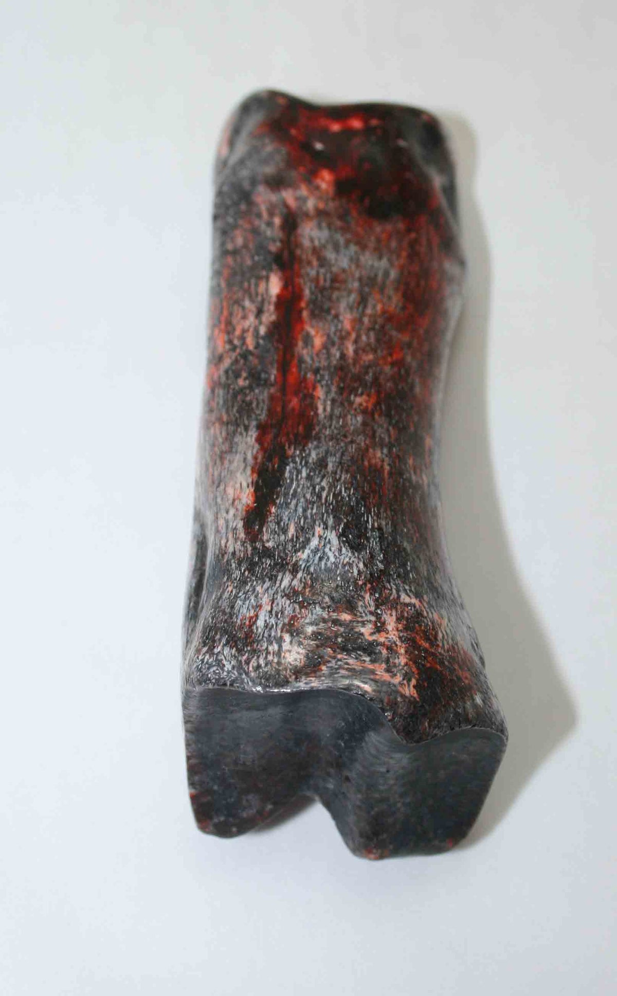 NB617JS6 Carpal Bone - Giraffe (large)