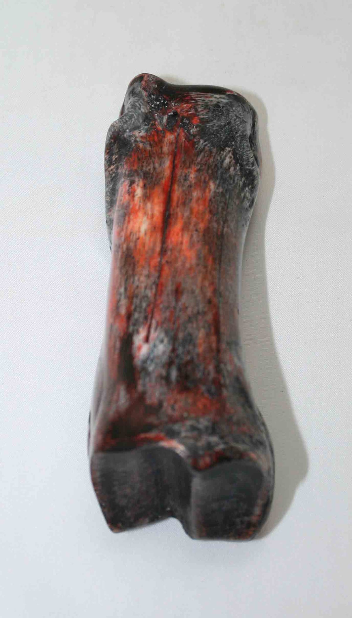 NB617JS14 Carpal Bone - Giraffe (large)