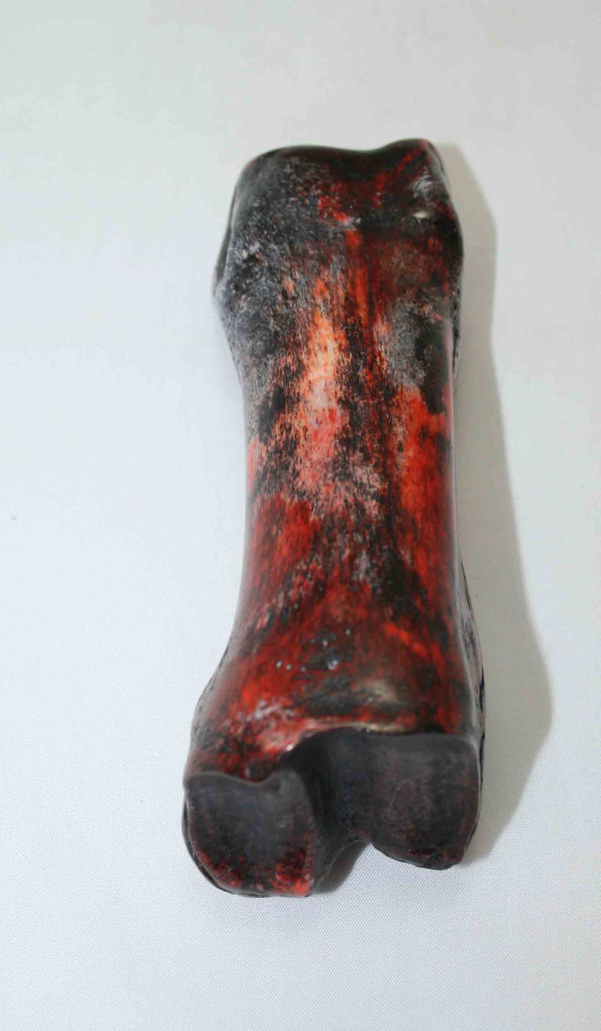 NB617JS16 Carpal Bone - Giraffe (large)