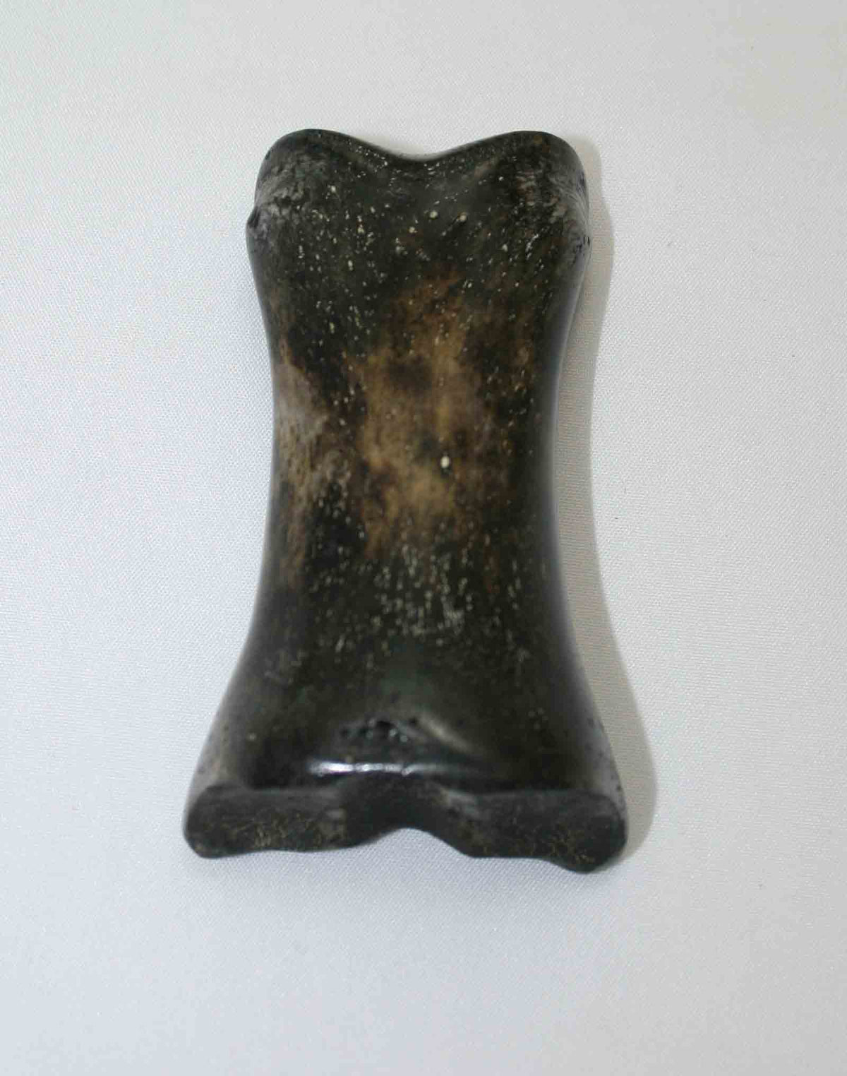 NB616JS3 Carpal Bone - Wildebeest (medium)