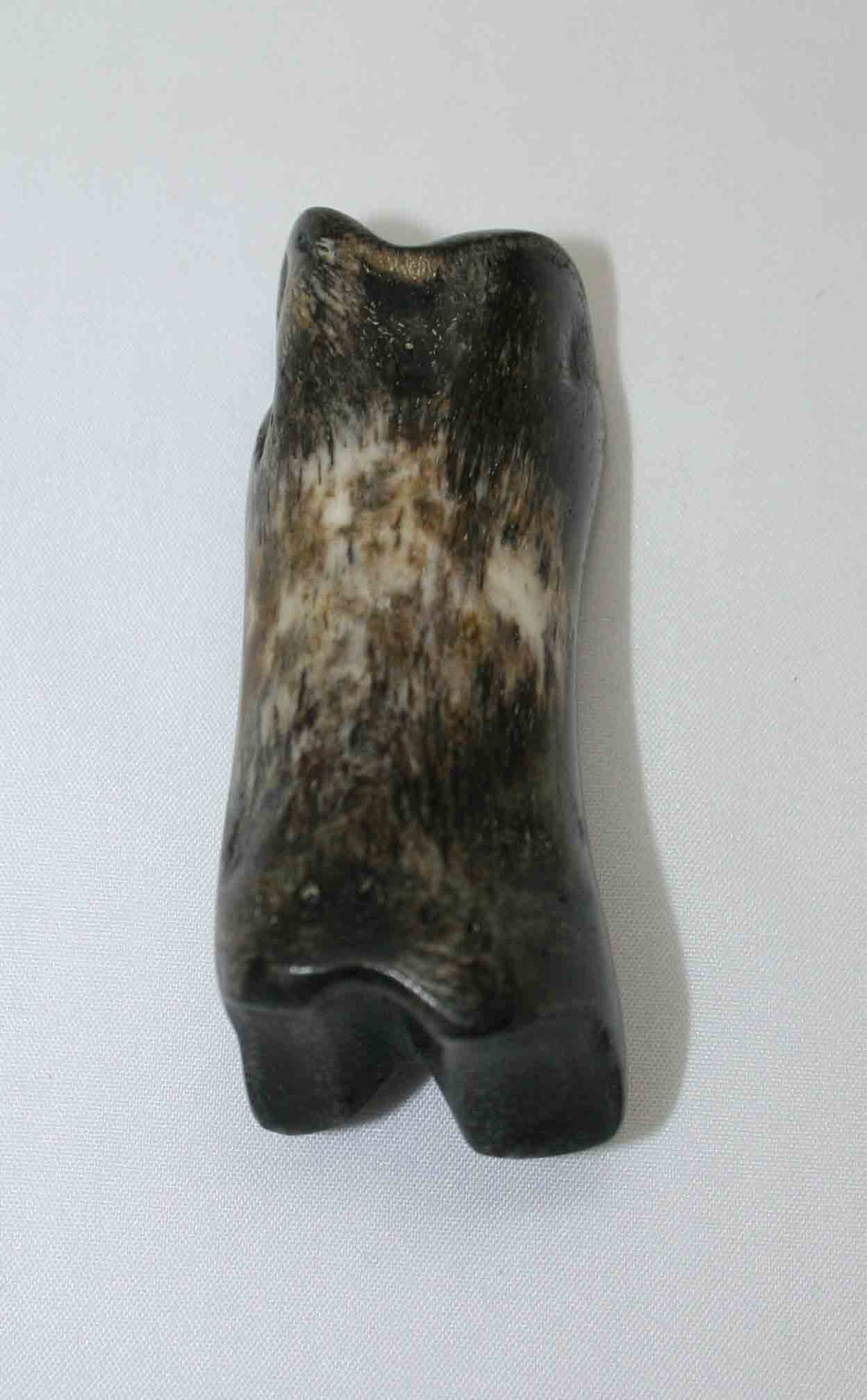 NB616JS6 Carpal Bone - Wildebeest (medium)