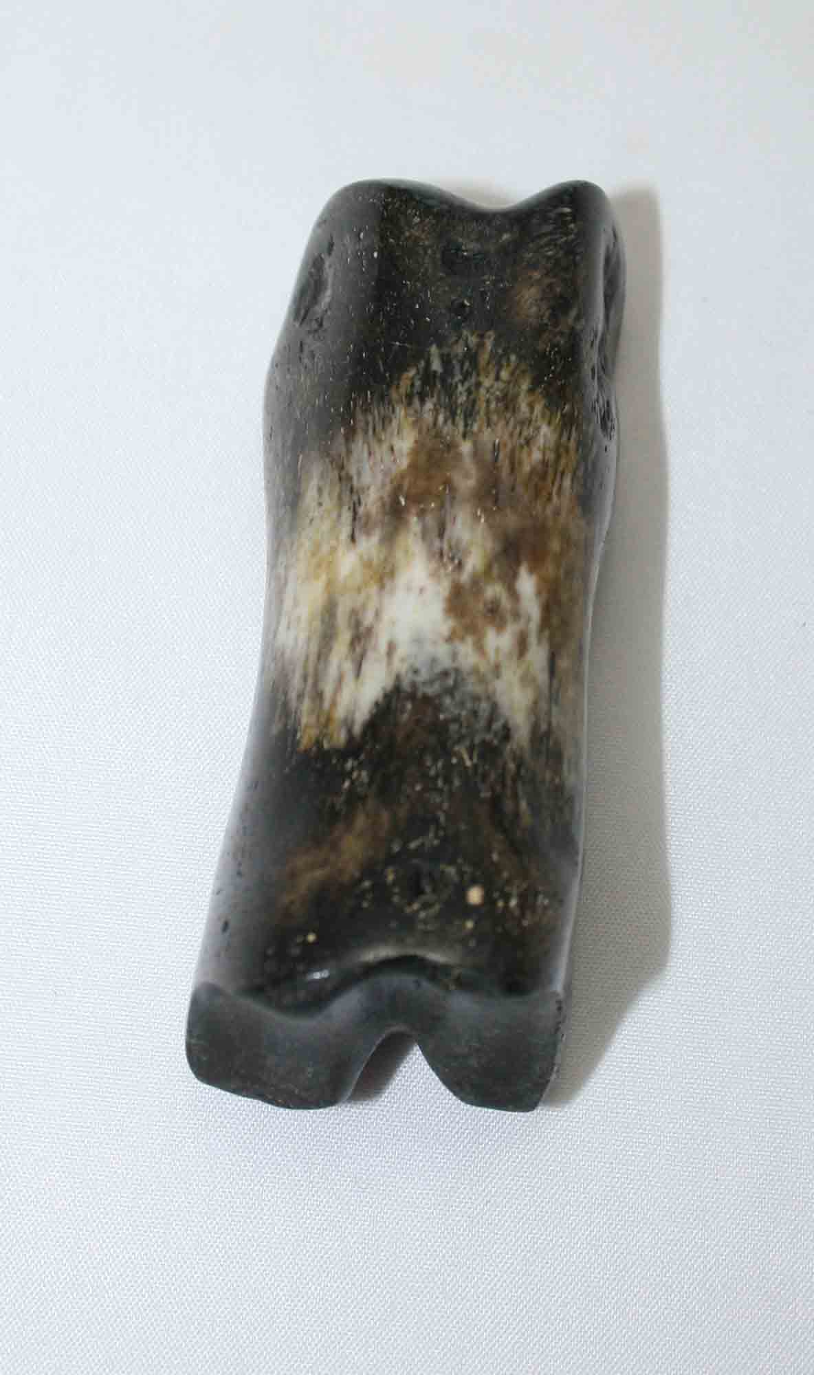 NB616JS7 Carpal Bone - Wildebeest (medium)