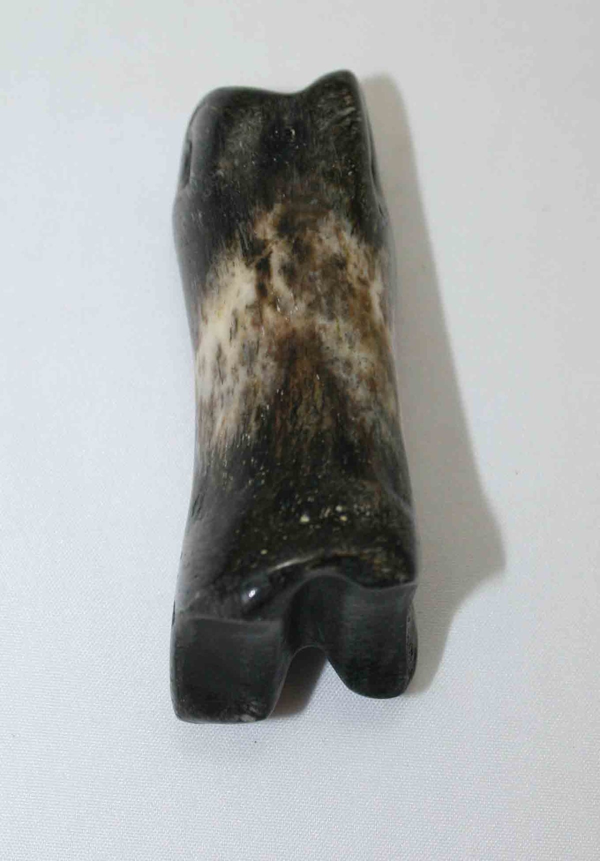 NB616JS9 Carpal Bone - Wildebeest (medium)