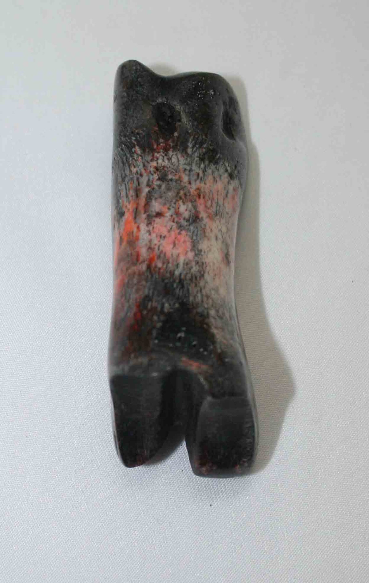 NB616JS10 Carpal Bone - Wildebeest (medium)