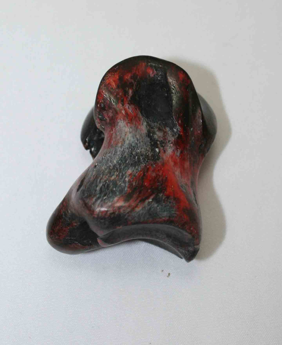 NB615JS1 Carpal Bone - Wildebeest (small)