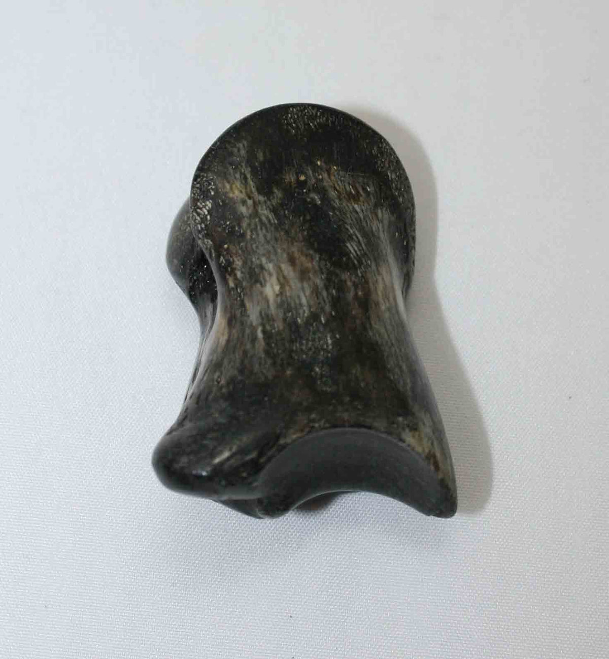 NB615JS2 Carpal Bone - Wildebeest (small)