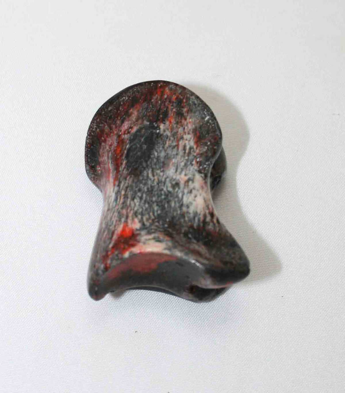 NB615JS7 Carpal Bone - Wildebeest (small)