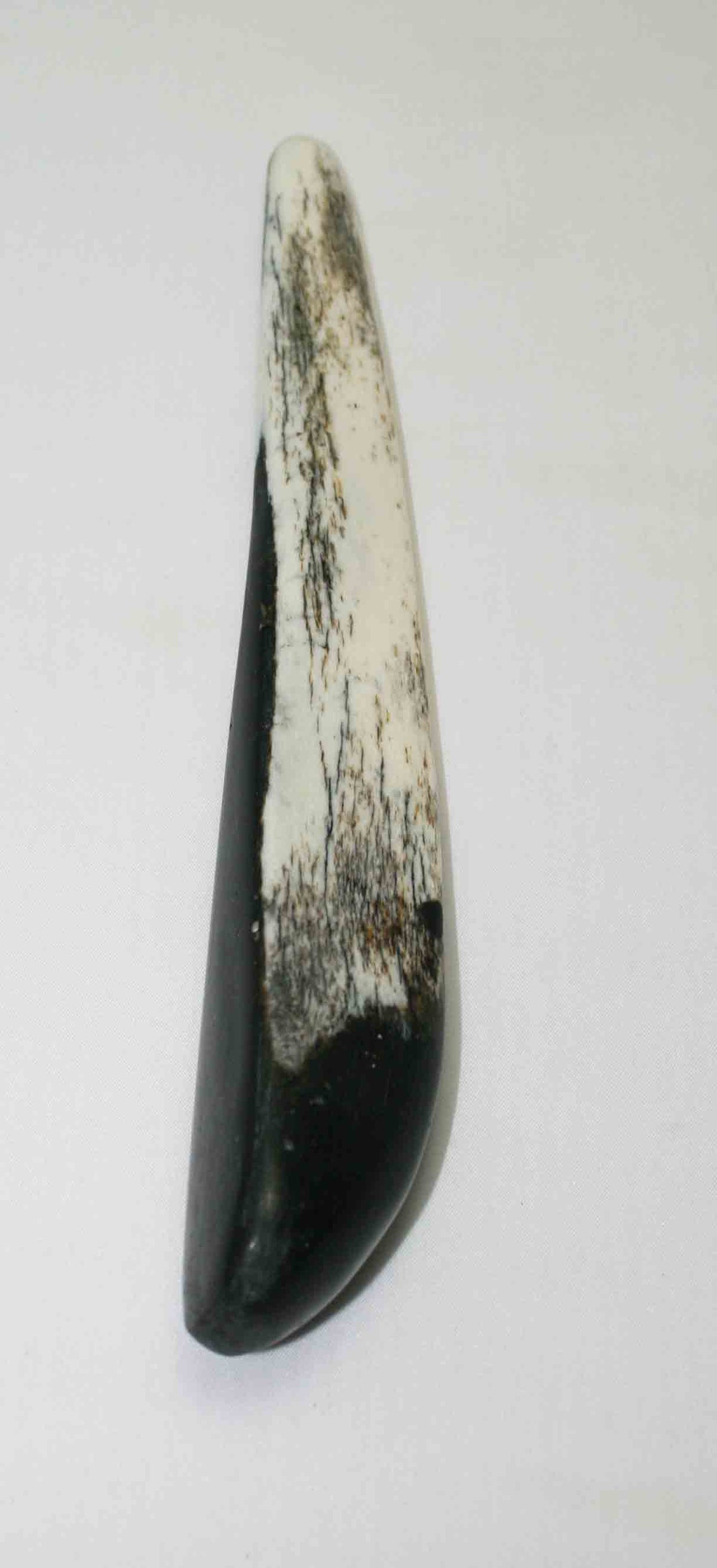 NB106MMA20 Giraffe Bone Round