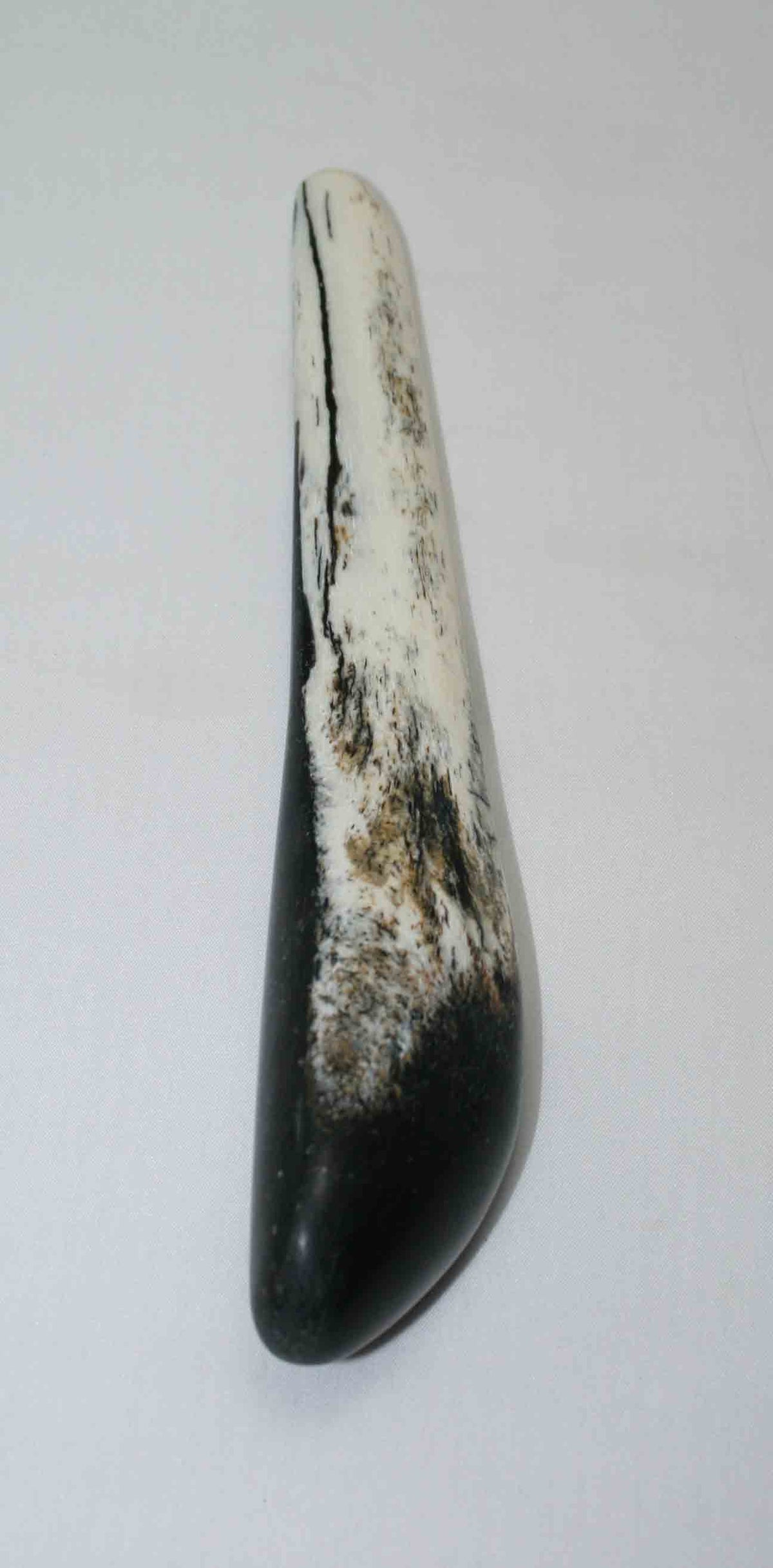 NB106MMA8 Giraffe Bone Round