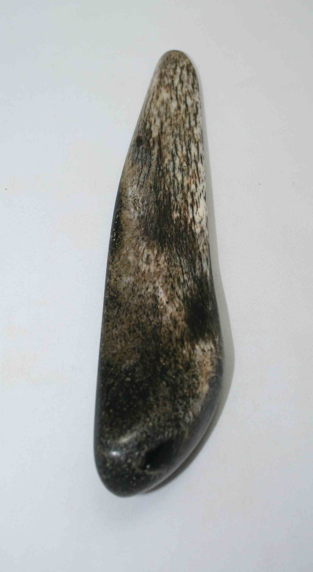 NB106NAM20 Giraffe Bone Round