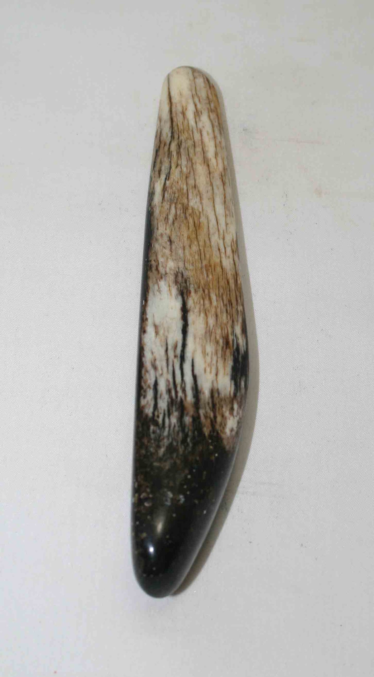 NB106NA2 Giraffe Bone Round 7.00 " x middle size 1.25" x 0.61 " inch