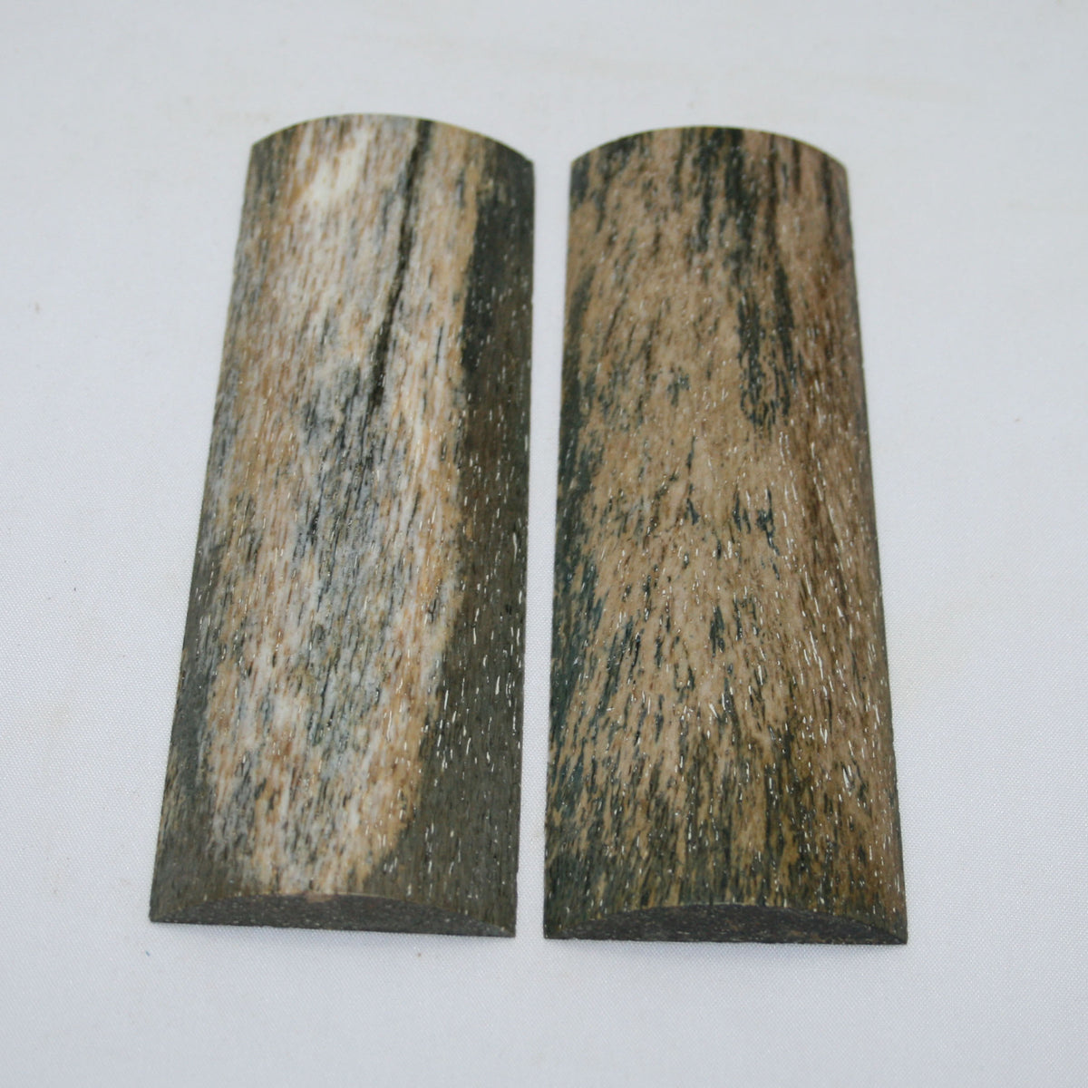 NB108MAN192 Giraffe Bone Scales