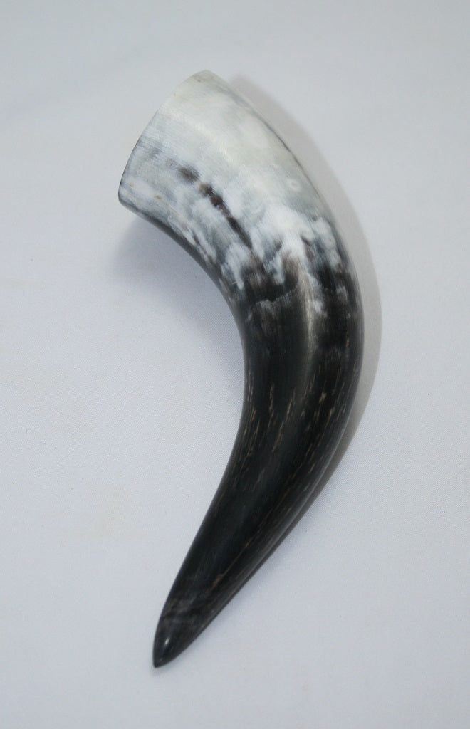 NB1101MAN53 Nguni Horn - tip