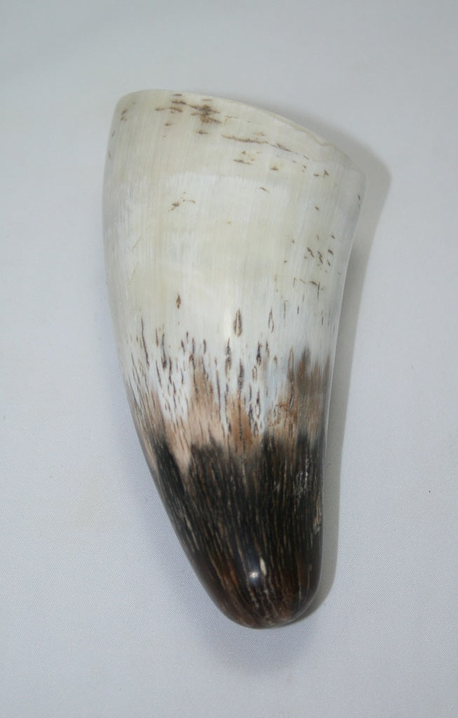 NB1101MAN54 Nguni Horn - tip