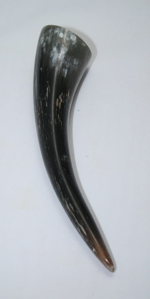 NB1101MAN56 Nguni Horn -Tip