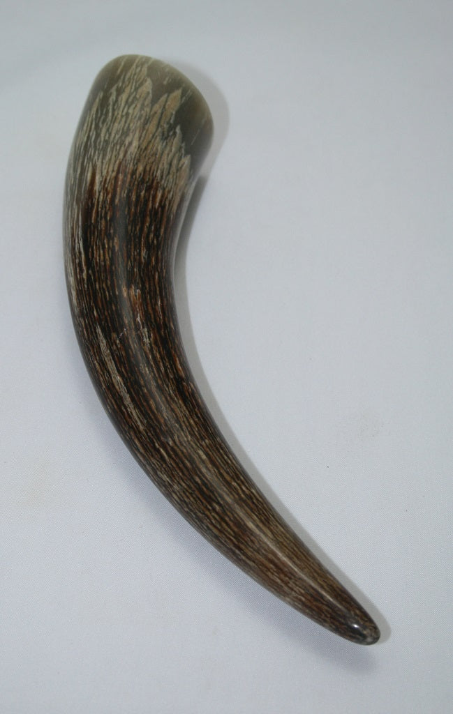 NB1101MAN61 Nguni Horn -Tip