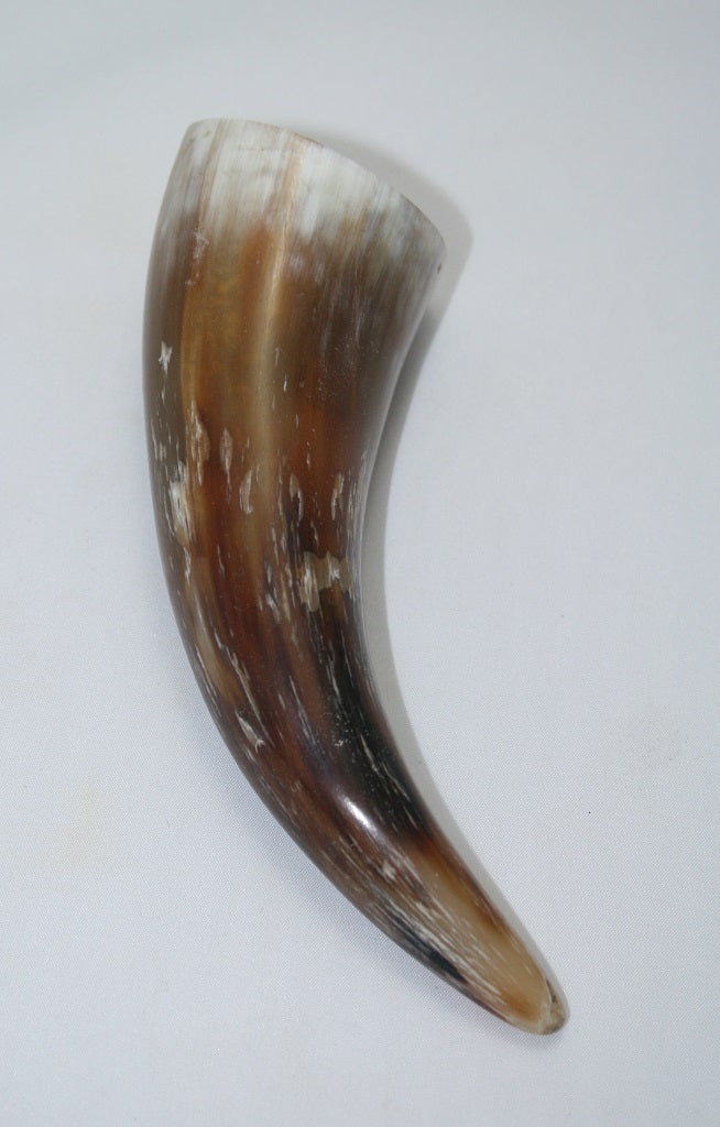 NB1101MAN64 Nguni Horn - tip