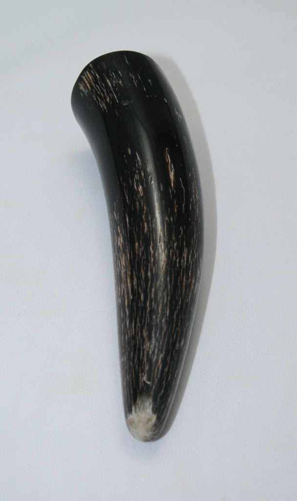 NB1101MAN68 Nguni Horn - tip