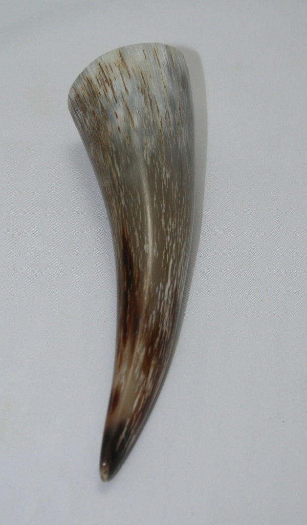 NB1101MAN73 Nguni Horn - tip