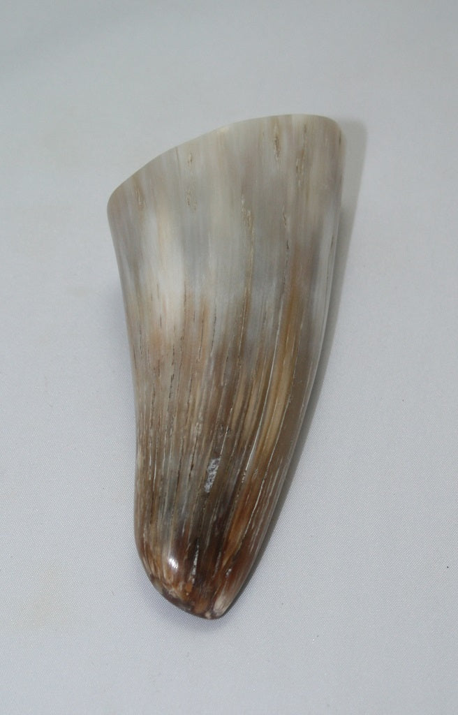 NB1101MAN74 Nguni Horn - tip