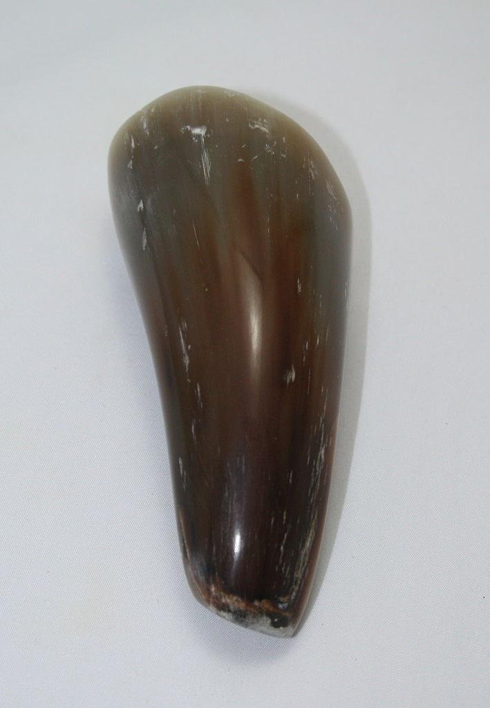 NB1101MAN76 Nguni Horn - tip