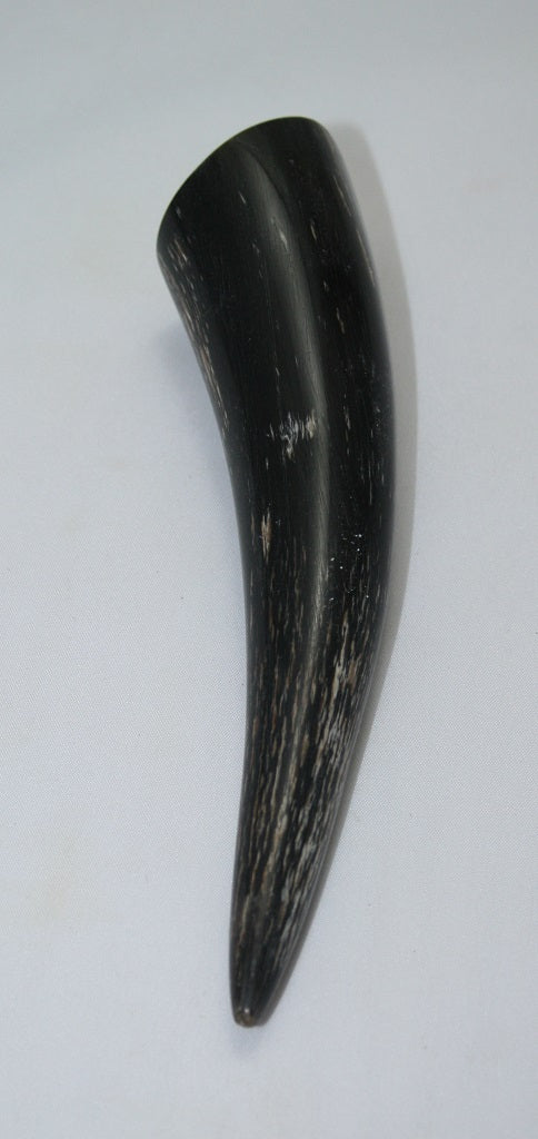 NB1101MAN77 Nguni Horn - tip