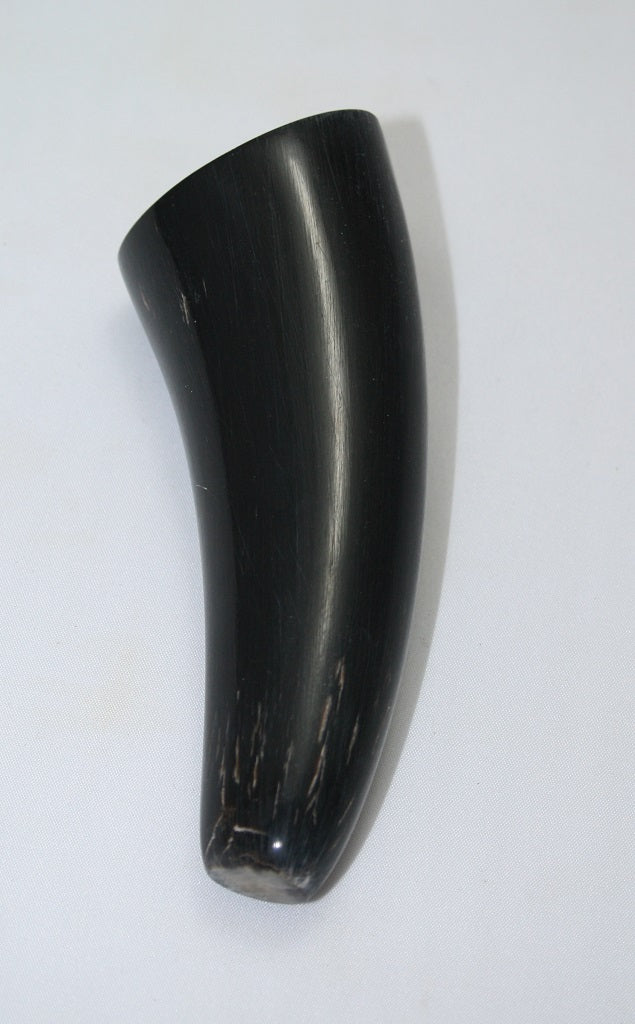 NB1101MAN79 Nguni Horn - tip