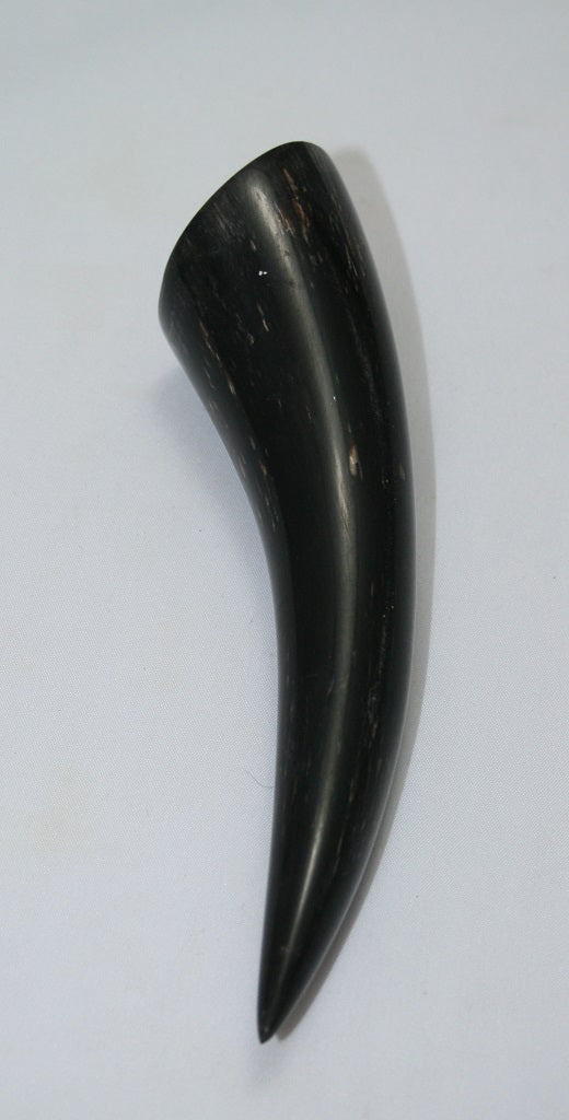 NB1101MAN81 Nguni Horn - tip