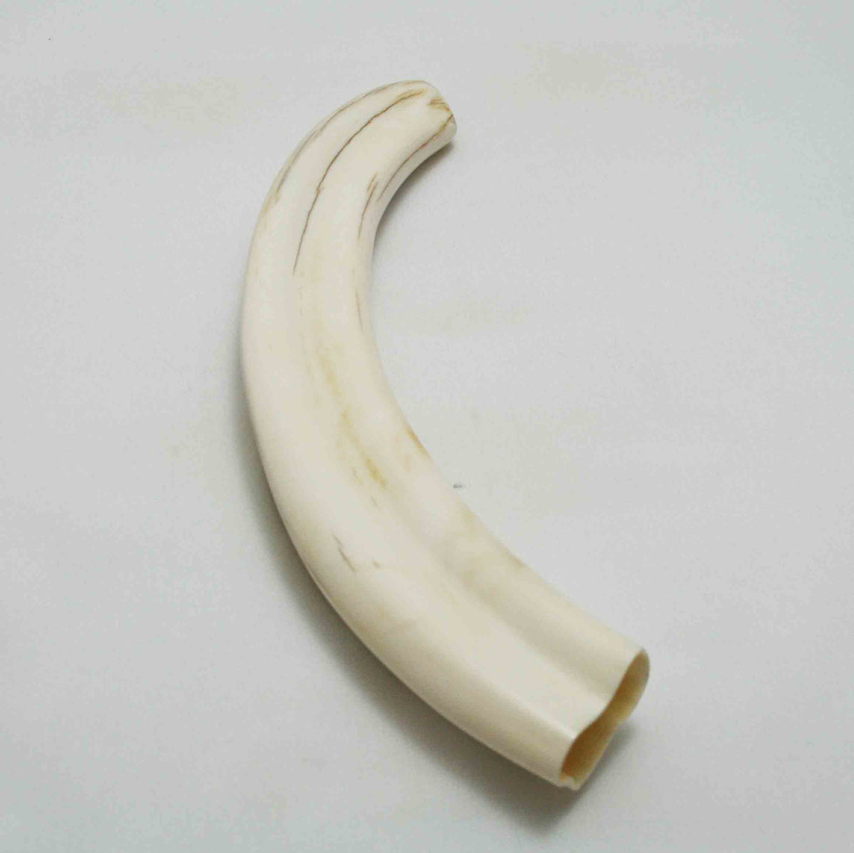 NB1701LG2 Warthog Tusk (Large)