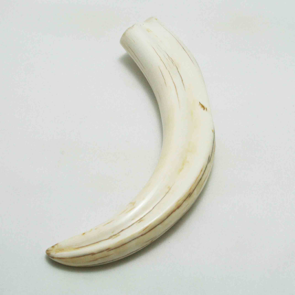 NB1701LG3 Warthog Tusk (Large)