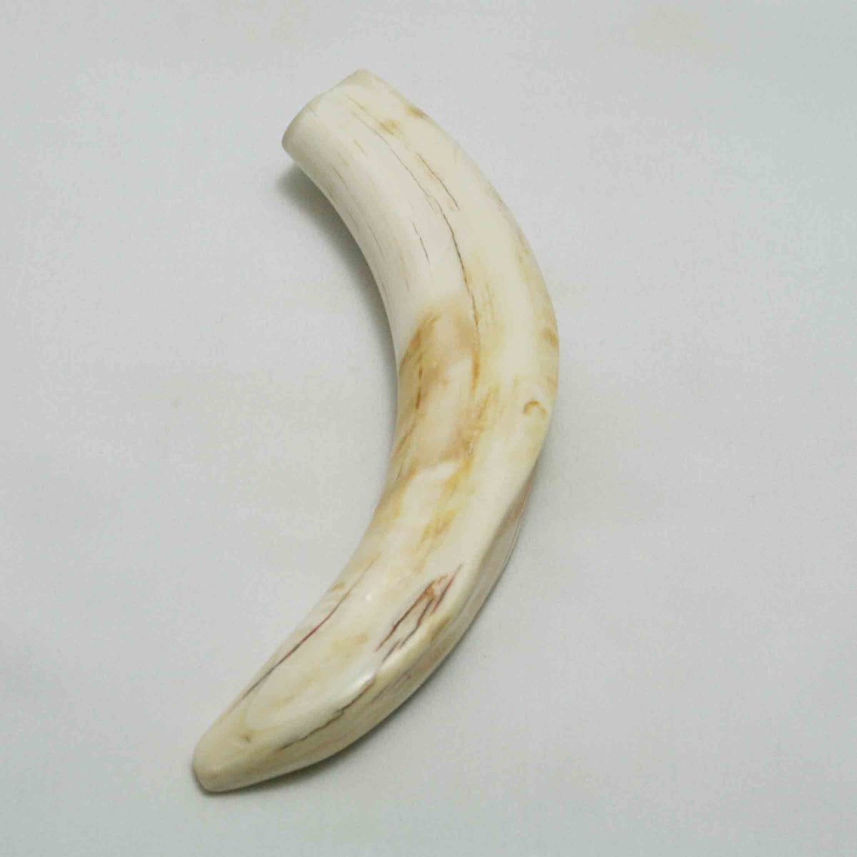 NB1701LG7 Warthog Tusk (Large)