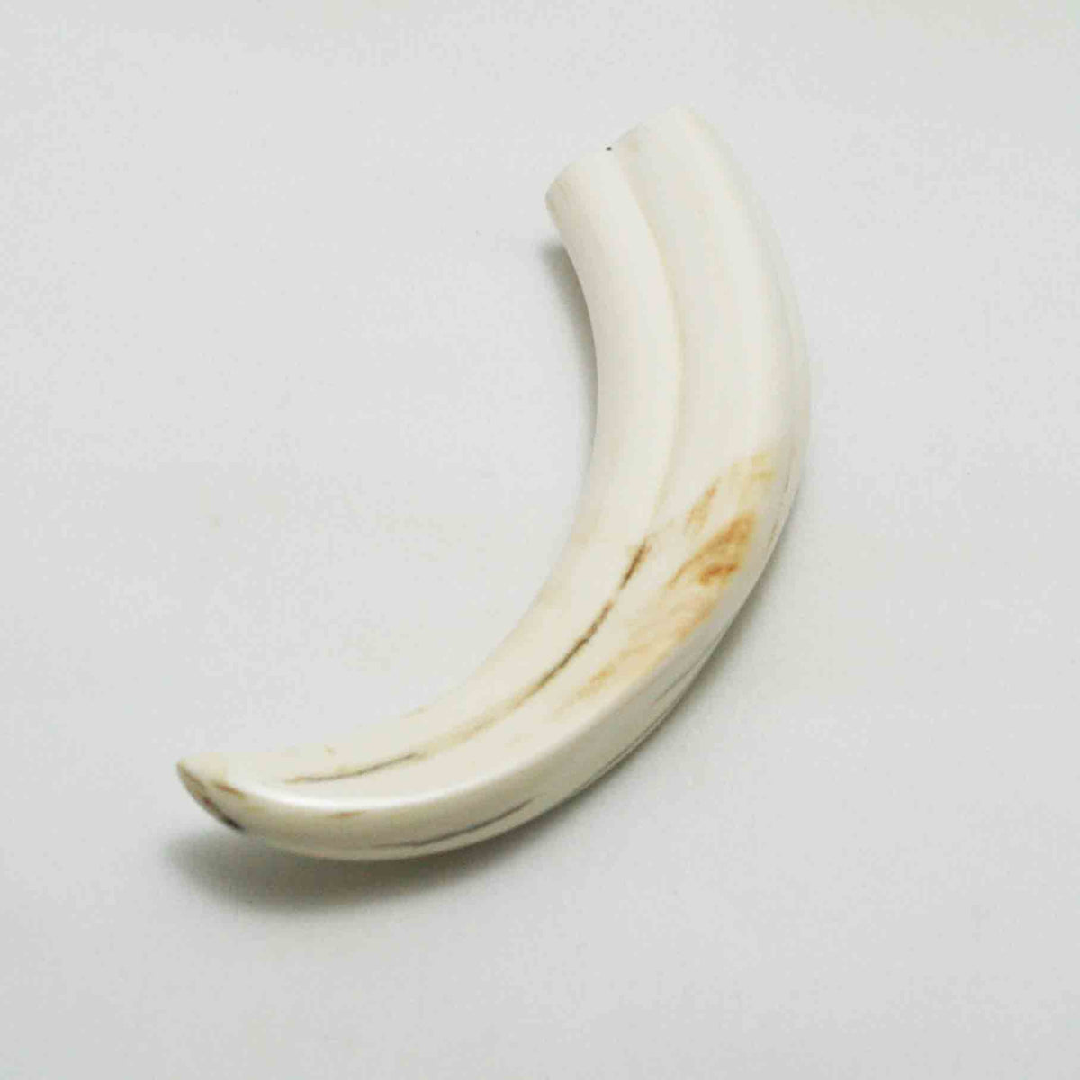 NB1701LG9 Warthog Tusk (Large)