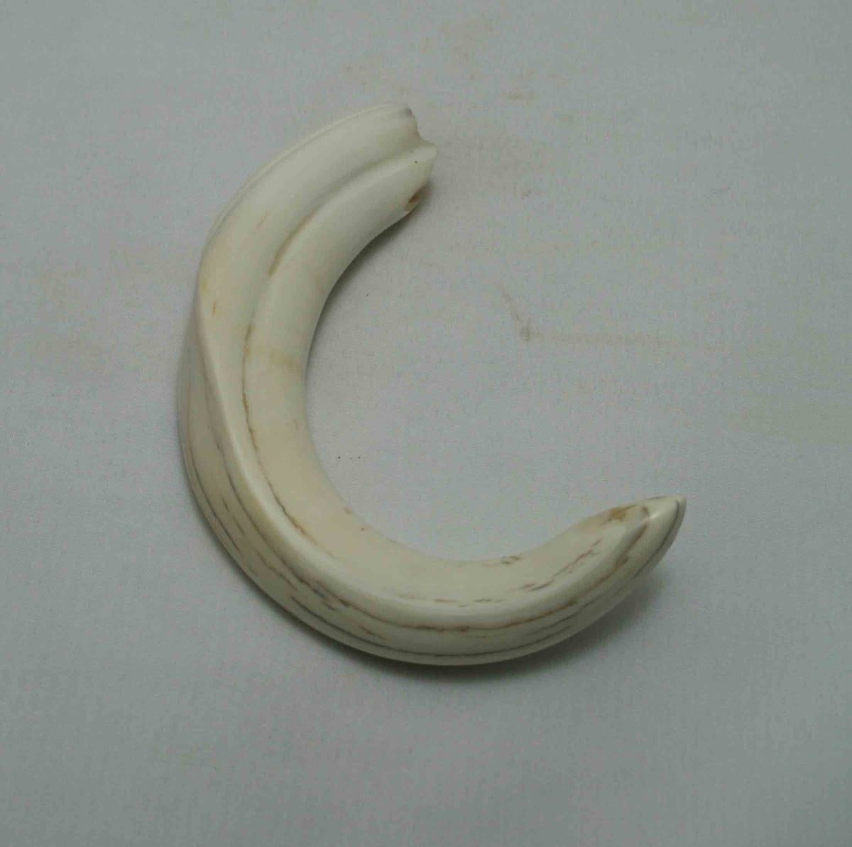 NB1701NA27 Warthog Tusk (Large) From point to top end (not over bend) 4.55" top end x 1.03"x 0.73"inch