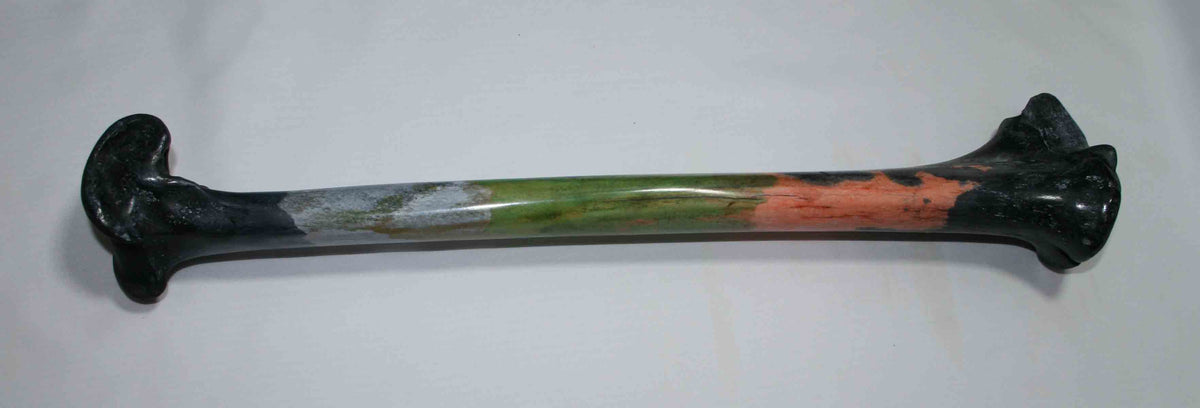 NB2021JS12 Ostrich Bone