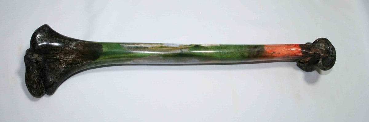 NB2021JS13 Ostrich Bone