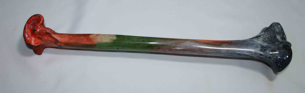 NB2021JS5 Ostrich Bone